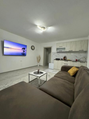 Apartment Airport DD
